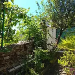 Stone Pazar * Gjirokastër
