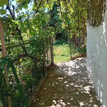 Apartment Stone Pazar *