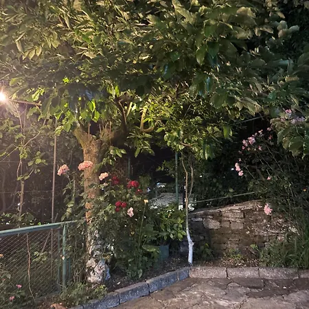 Stone Pazar Gjirokastër