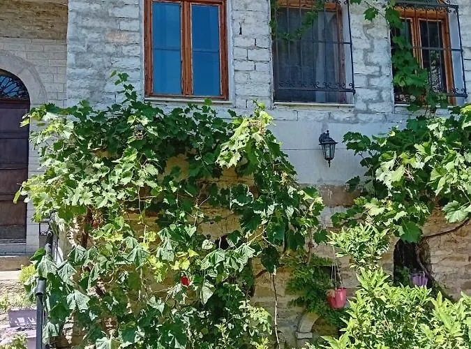 Stone Pazar Daire *
