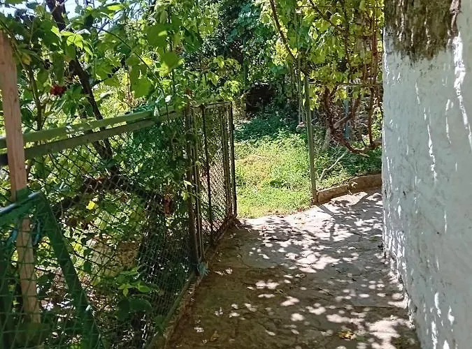 Apartament Stone Pazar *